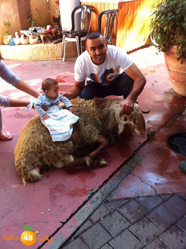 dabe7 ludj31 (59).jpg